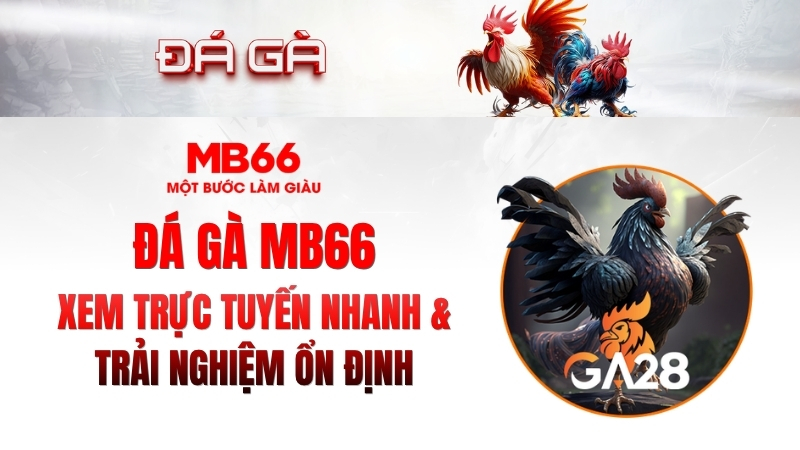 Đá Gà MB66 – Xem Trực Tuyến Nhanh, Ổn Định 2026